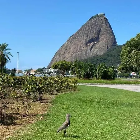 Apartamento Para Casal No Flamengo